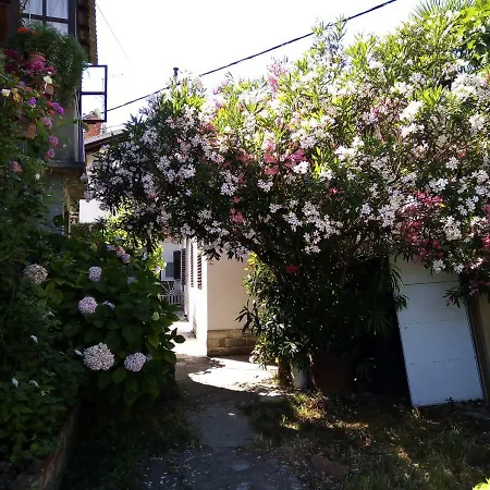 아파트 Placovici *