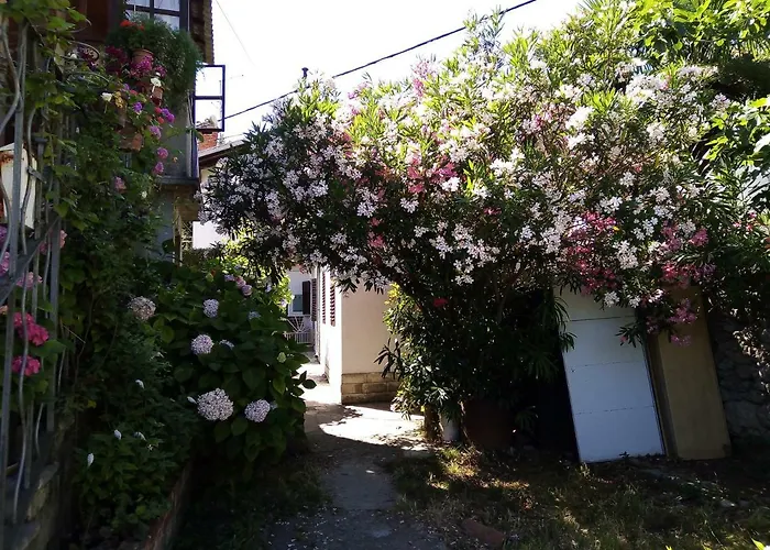 Appartement Placovici *