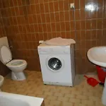 Placovici